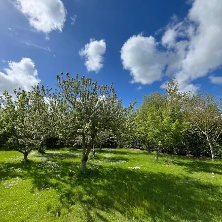 Countryside House & Private Garden
