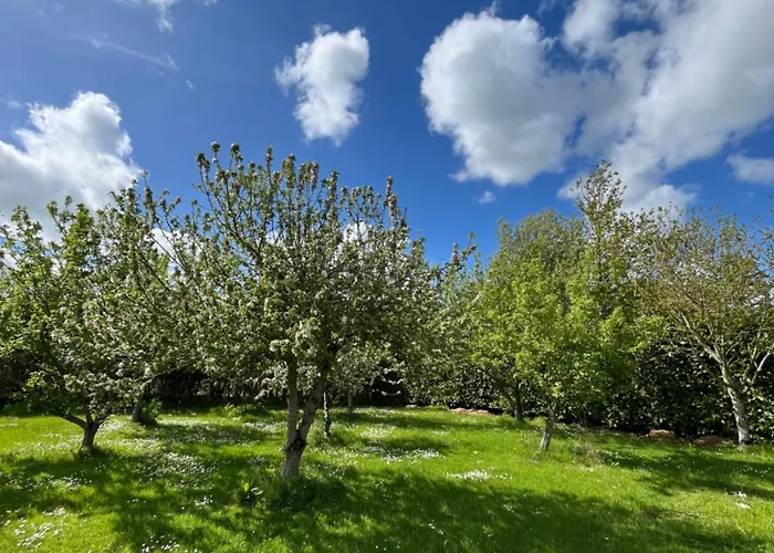 Countryside House & Private Garden